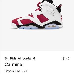 Big kid’s Air Jordan 6